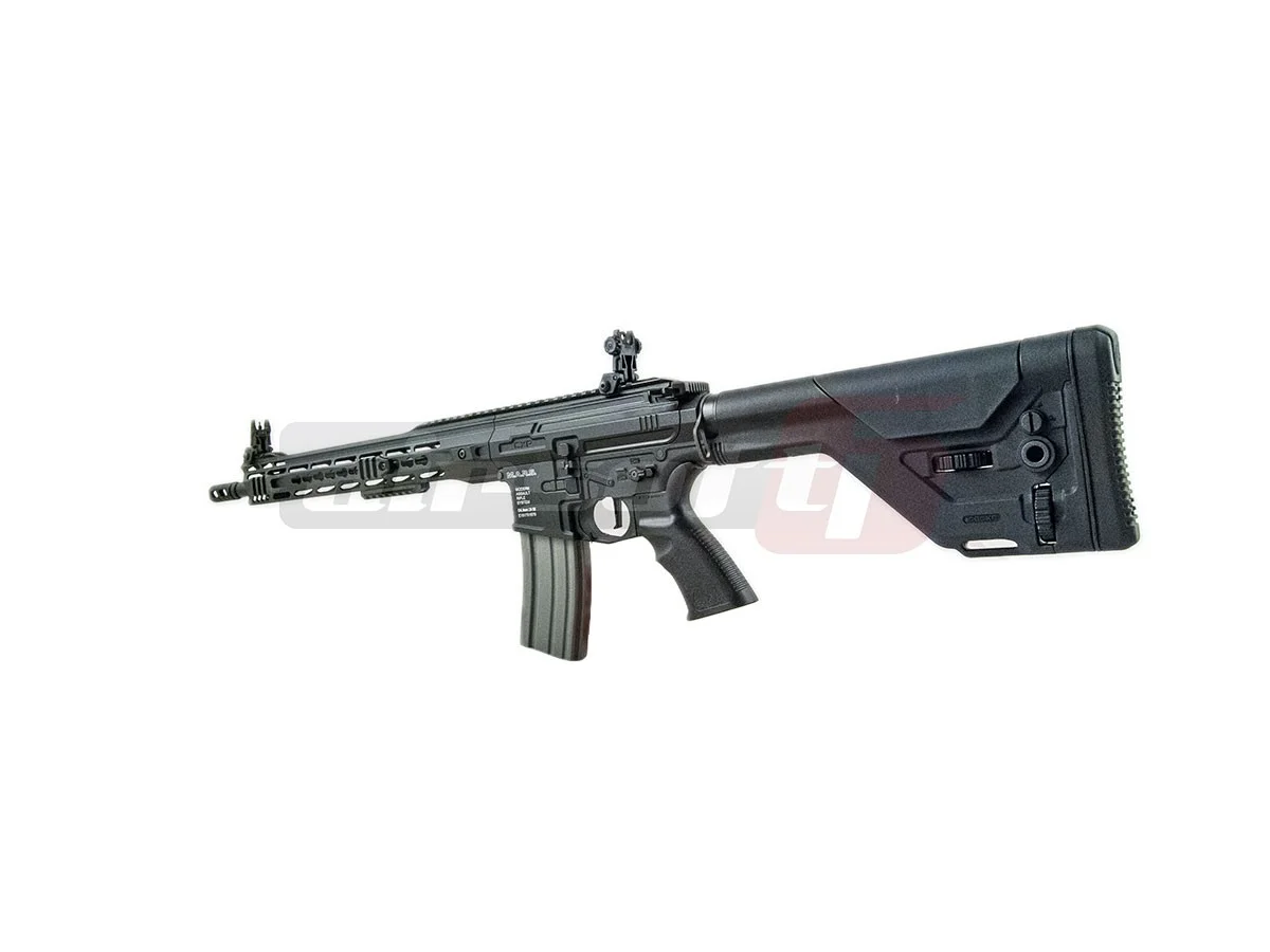 ICS M4 CXP MARS DMR 4