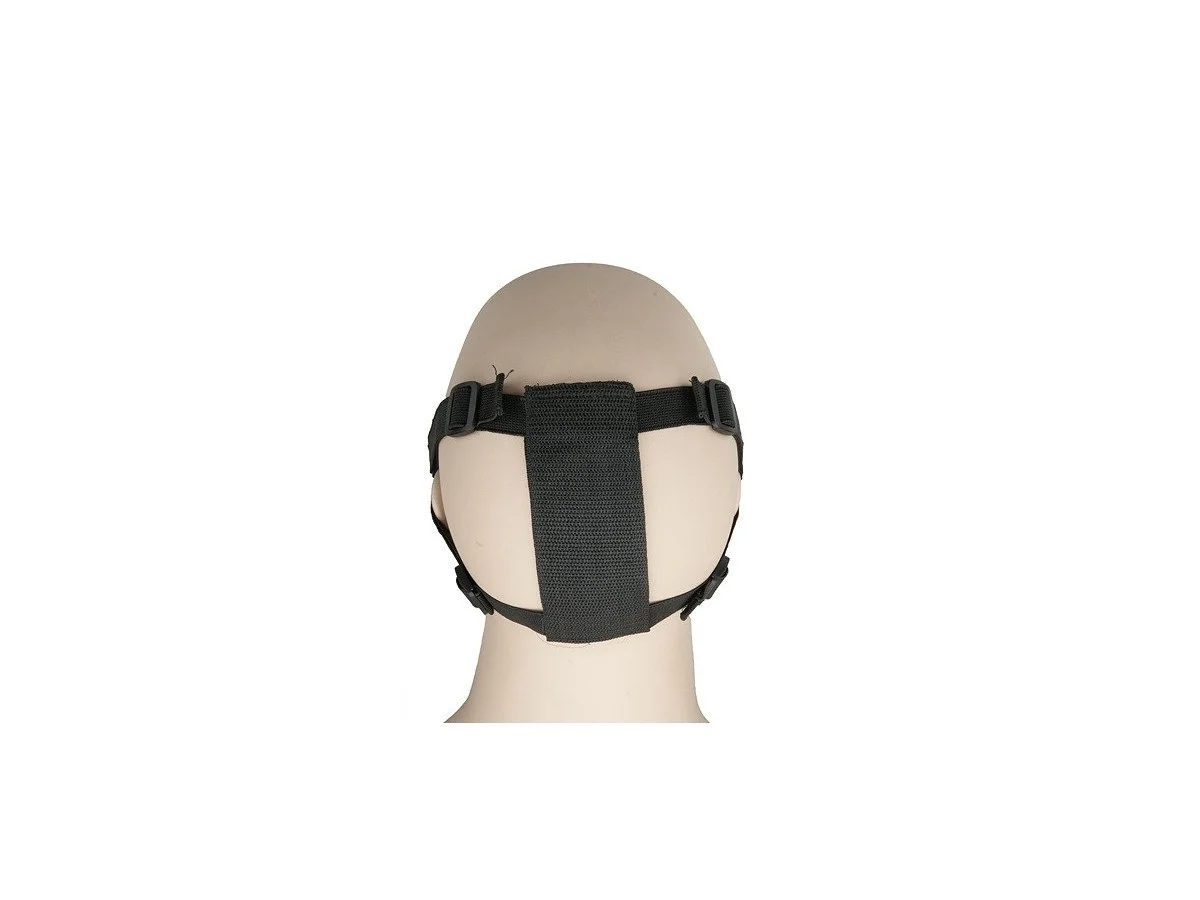 Stalker Evo masca de protectie Negru 2