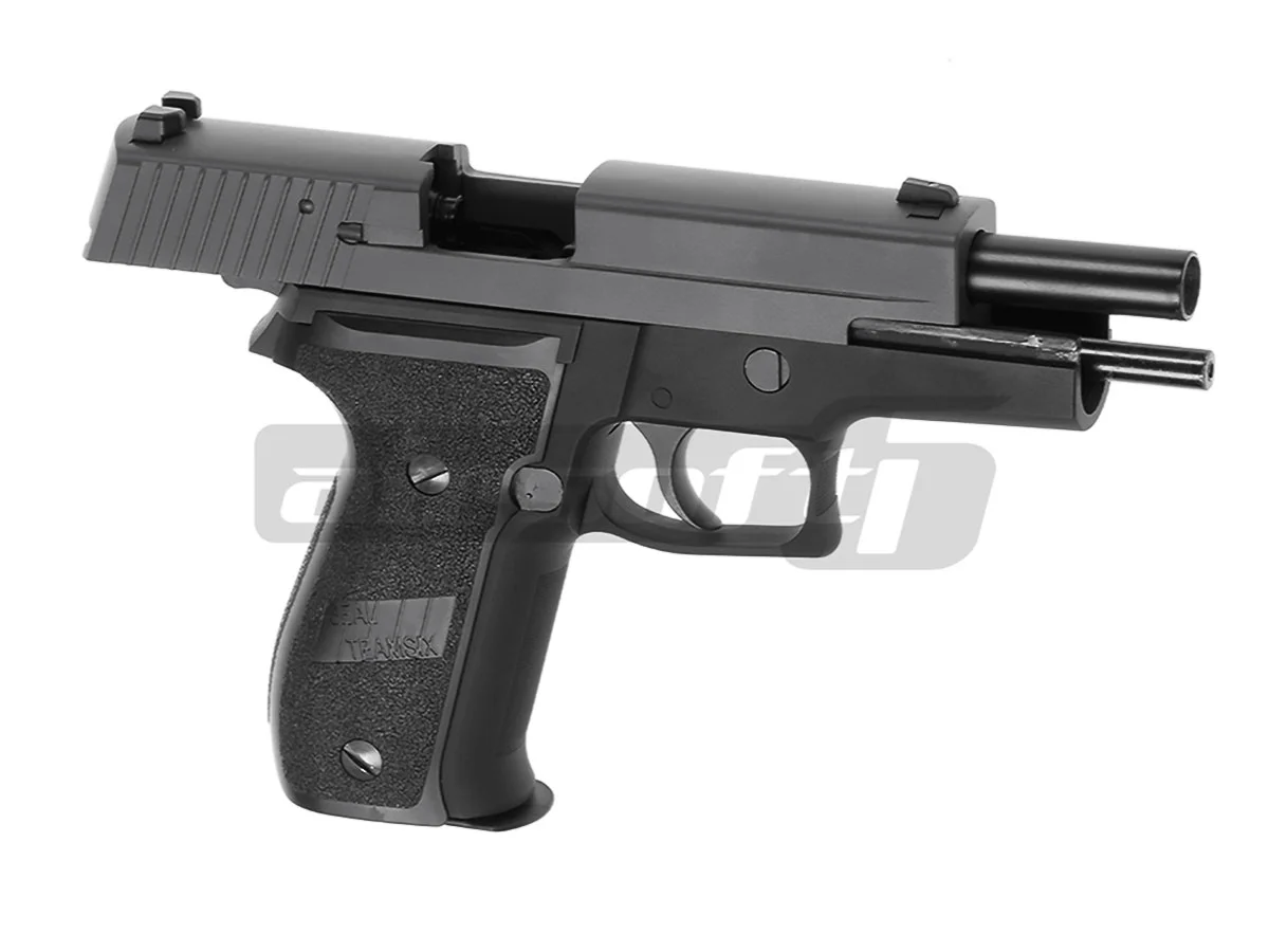WE P226R 2